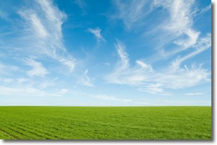 Cirrus Clouds