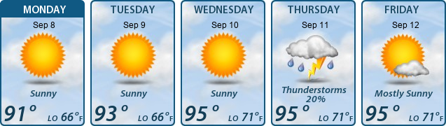 5-Day Forecast