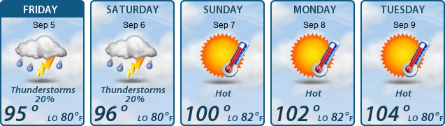 5-Day Forecast