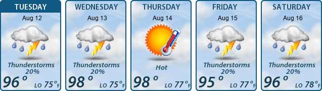 5-Day Forecast